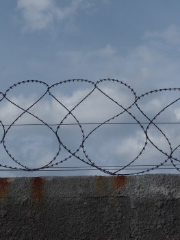 Muurit, Robin Island, Cape Town 2015